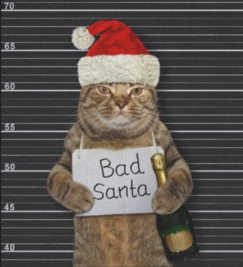 Bad Santa - Funny Cat Christmas Unisex Short Sleeve Tee
